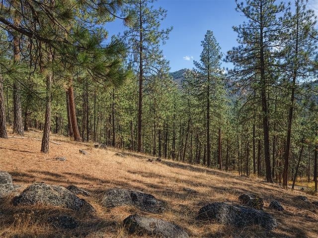Photo of TBD Raven Ridge St, Nine Mile Falls, WA 99026 (MLS # 202424721)