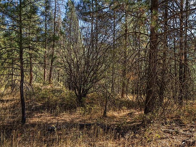 Photo 1 of 9 — TBD Raven Ridge St, Nine Mile Falls, WA 99026