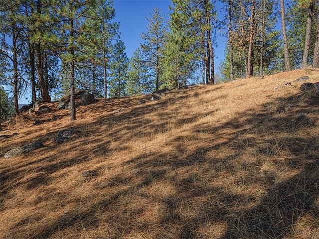 Photo of TBD Raven Ridge St, Nine Mile Falls, WA 99026 (MLS # 202424721)