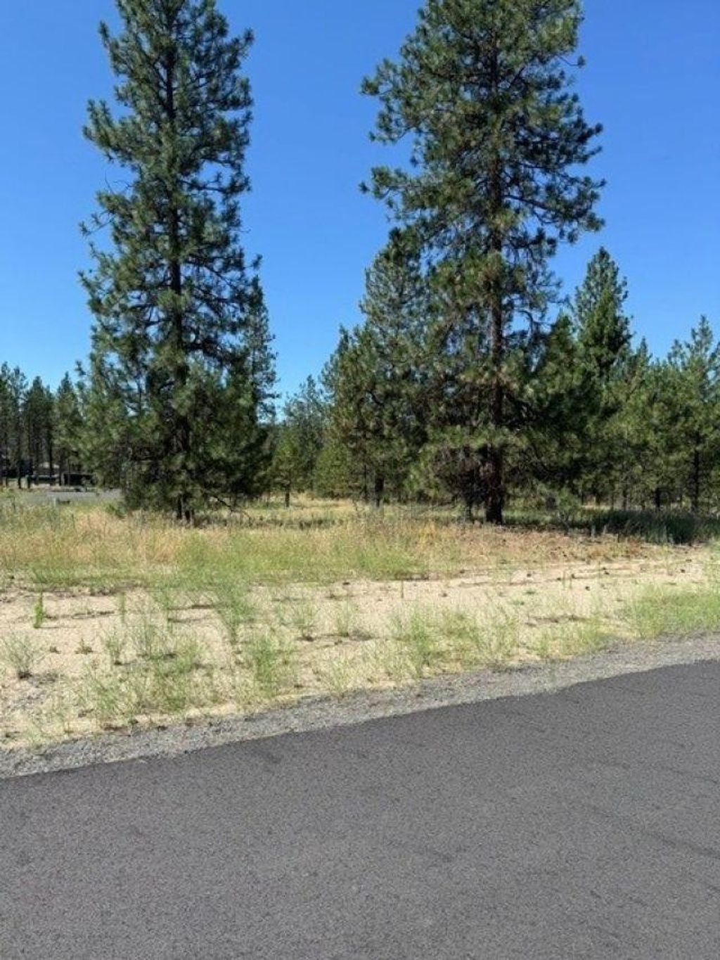 Photo of Lot 12 Long Lake Estates Est, Nine Mile Falls, WA 99026 (MLS # 202620856)