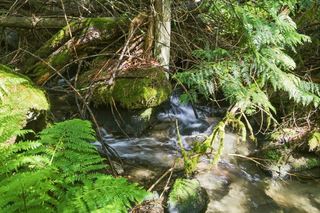 Photo of 1301 Veit Rd, Newport, WA 99156 (MLS # 202619740)