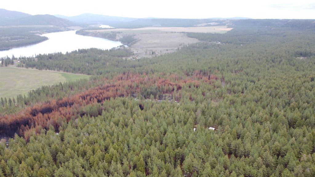 Photo of Xxx Coyote Ridge Ln, Ford, WA 99013 (MLS # 202616520)