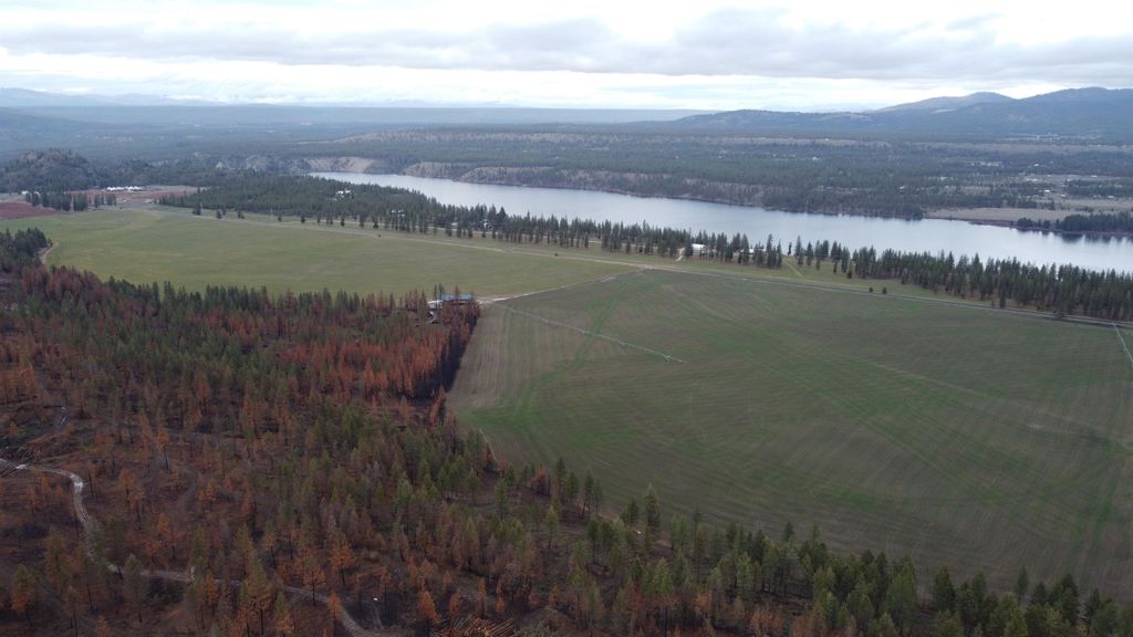 Photo of Xxx Coyote Ridge Ln, Ford, WA 99013 (MLS # 202616520)
