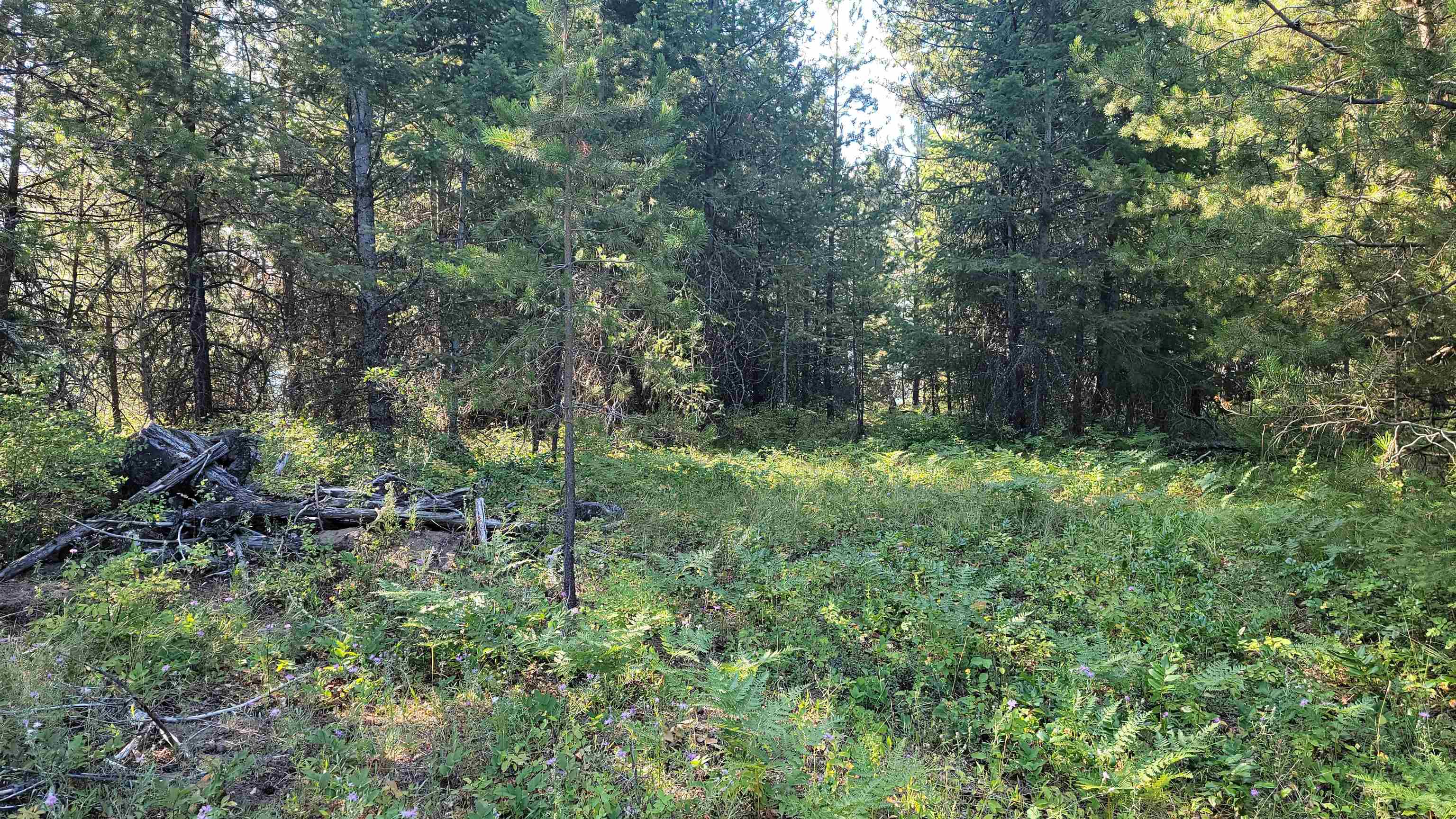 View Newport, WA 99156 land