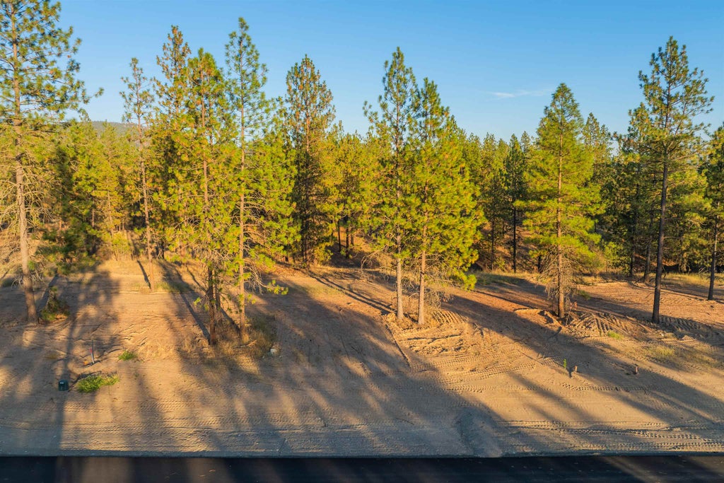 Photo of Lot 28 Legacy Way, Nine Mile Falls, WA 99026 (MLS # 202617404)