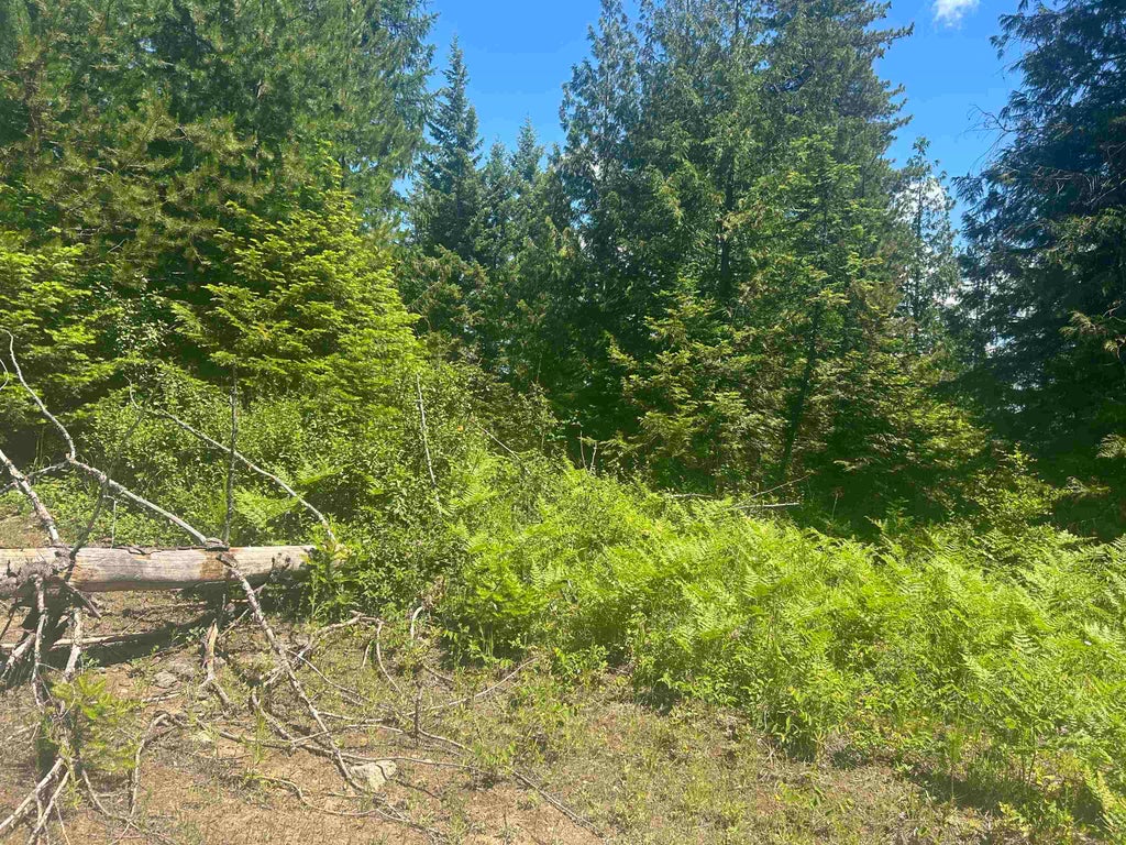 Photo of 00 N Foster Ln, Cusick, WA 99180 (MLS # 202619309)