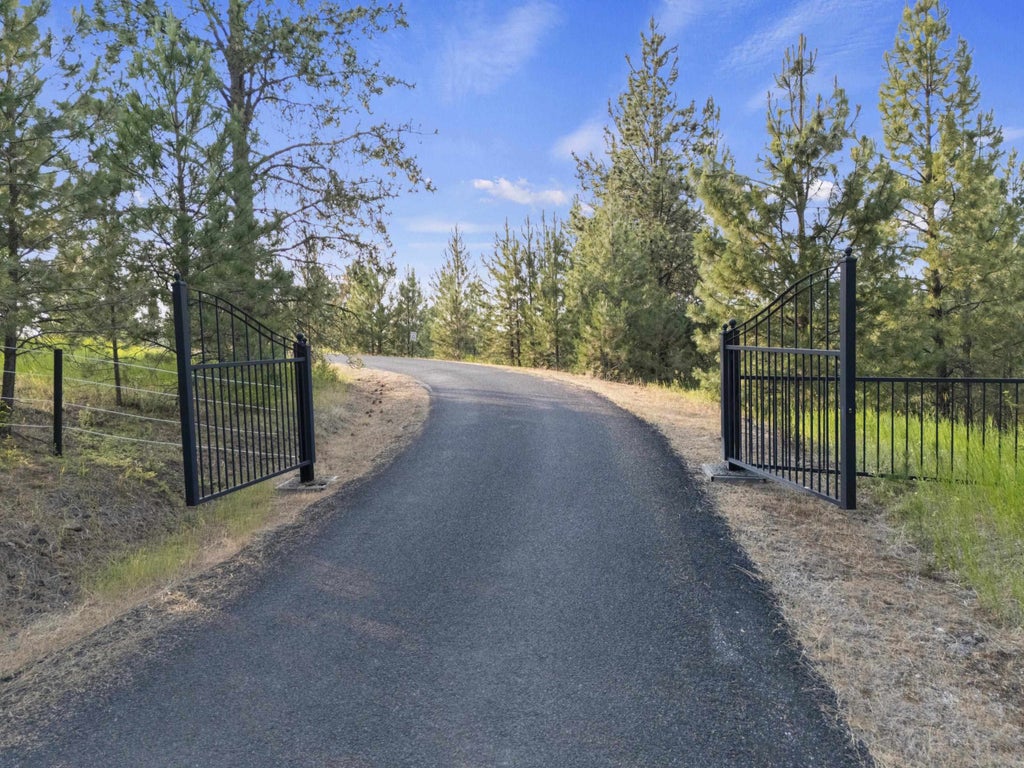 Photo of 10718 S Mica Vista Ln Ln, Mica, WA 99023 (MLS # 202625659)