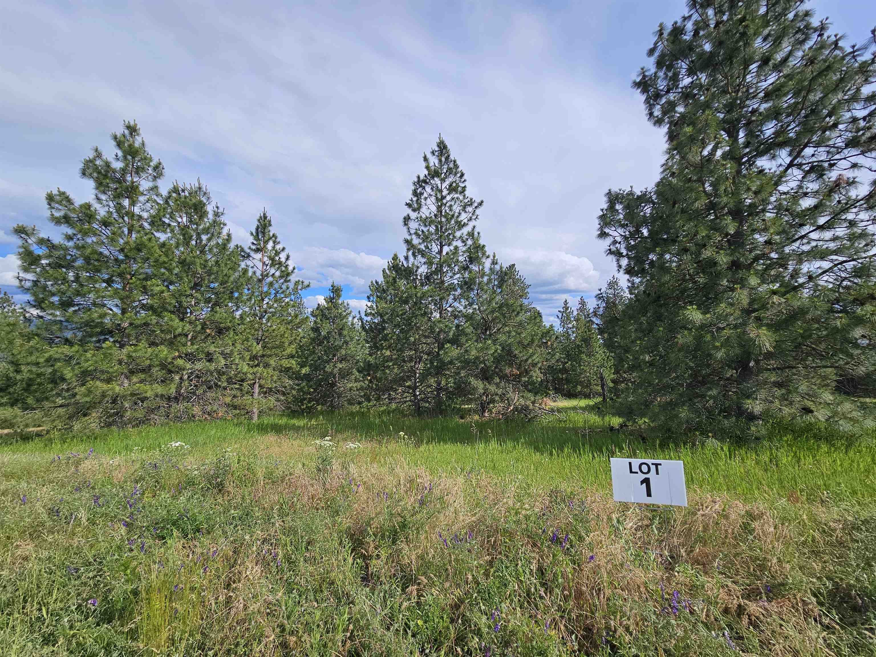Photo 1 of 33 — NNA S Sands Rd, Valleyford, WA 99036