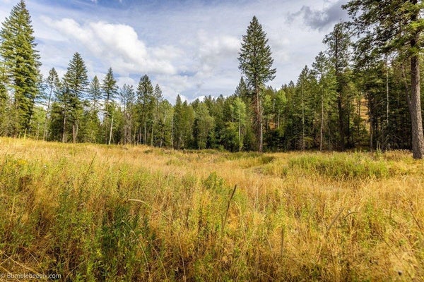 N VISTA CIR, COLBERT, WA 99005 - Image 7e9d74fea9c4a8ff62cbc8d996383da8/17471296