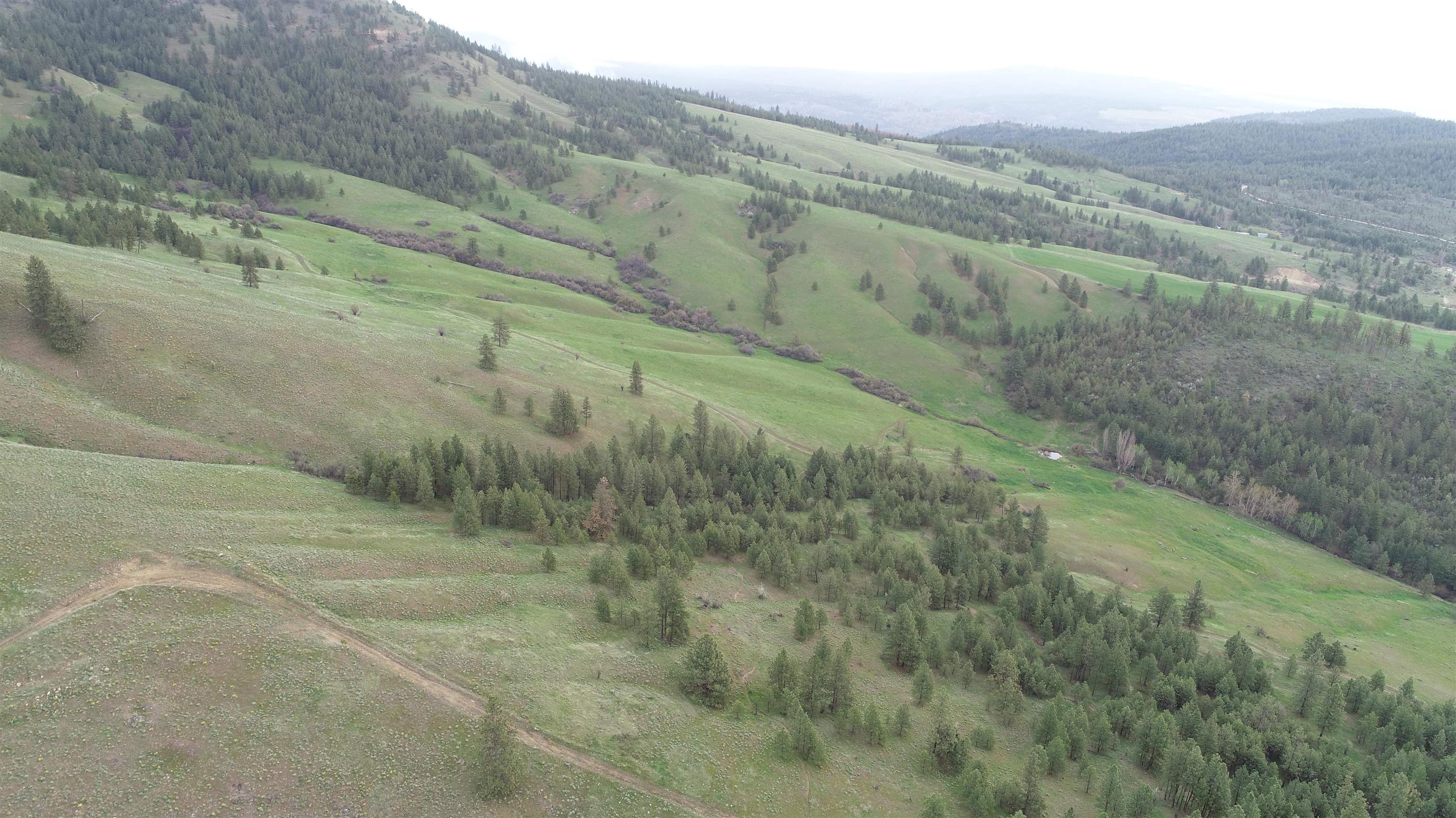 Photo 1 of 16 — XXX Egypt Loop Rd. E., Davenport, WA 99122