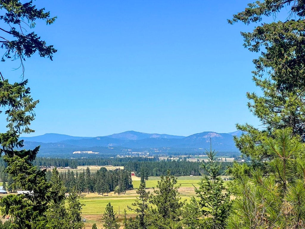 Photo of 52XX Lot 7 Swenson Rd, Deer Park, WA 99006 (MLS # 202622267)