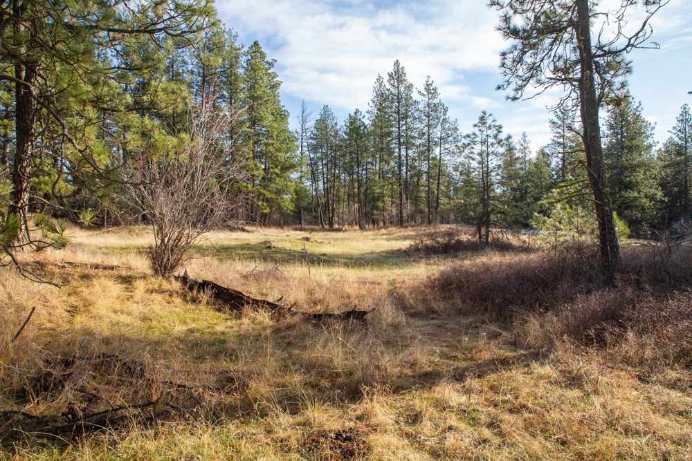 Photo 17 of 19 of NNA Medical Lake Rd land