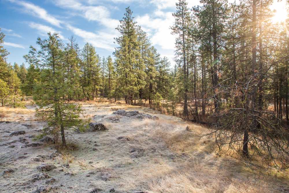 Photo 2 of 19 of NNA Medical Lake Rd land