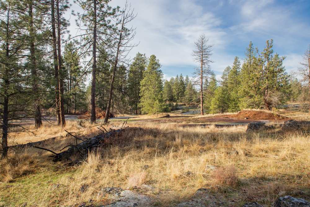 Photo 16 of 19 of NNA Medical Lake Rd land
