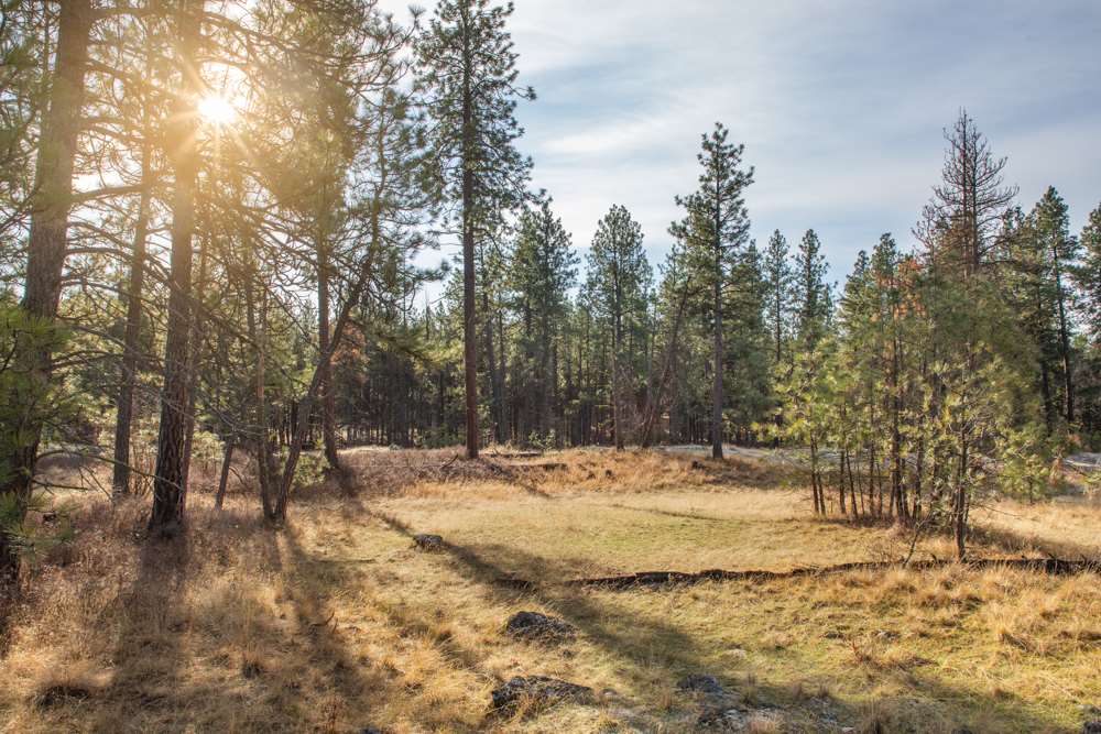 Photo 12 of 19 of NNA Medical Lake Rd land