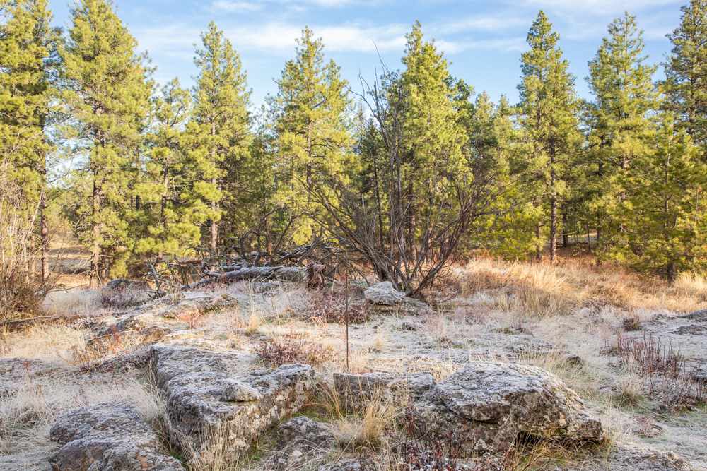 Photo 4 of 19 of NNA Medical Lake Rd land