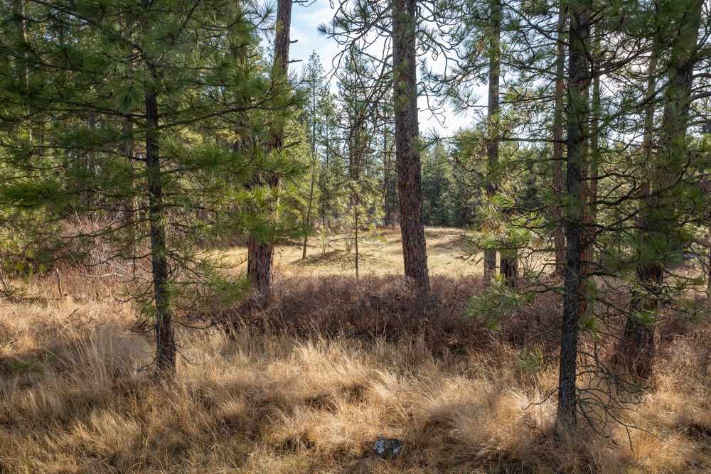 Photo 13 of 19 of NNA Medical Lake Rd land