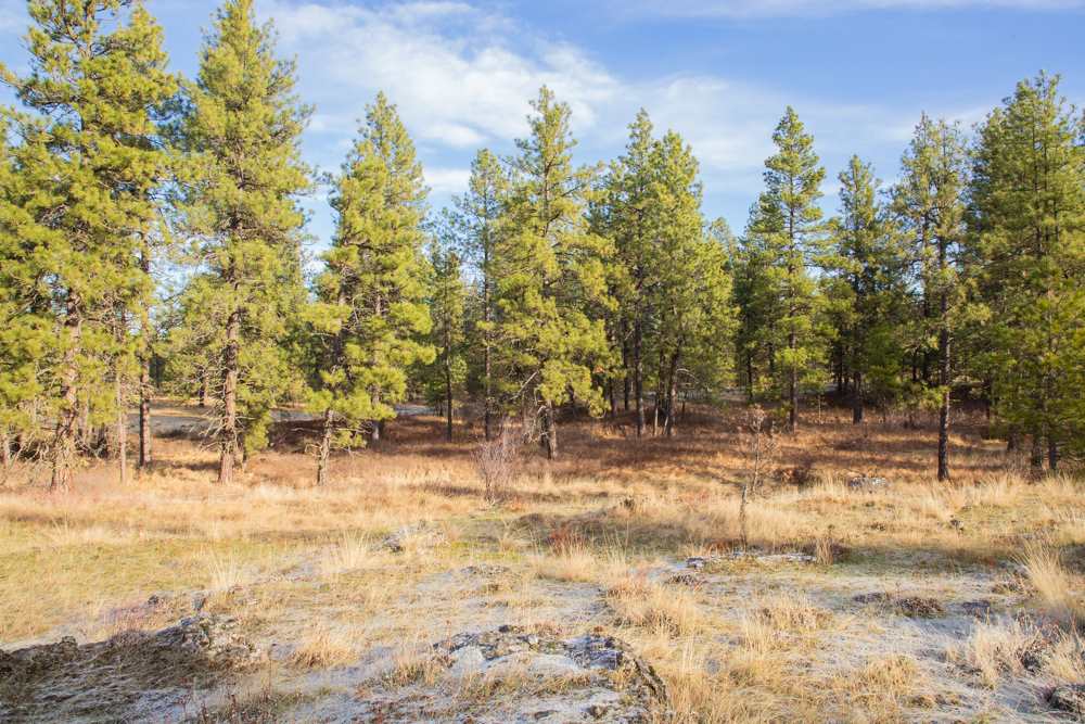 Photo 5 of 19 of NNA Medical Lake Rd land
