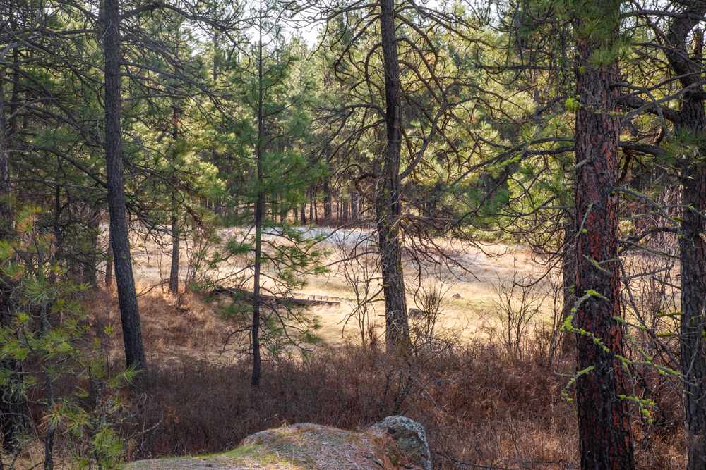 Photo 3 of 19 of NNA Medical Lake Rd land