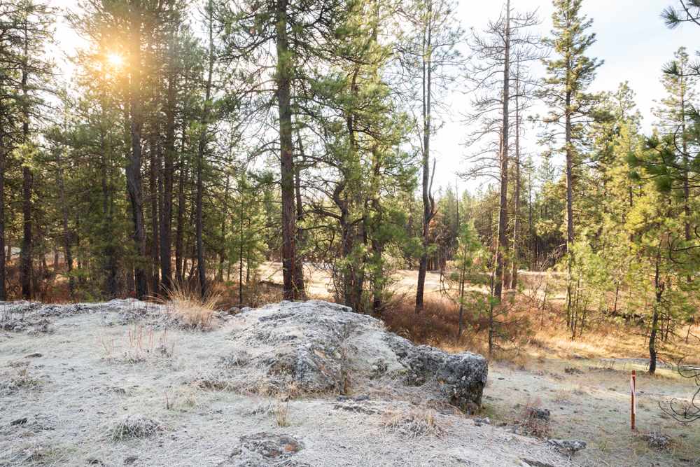 Photo 1 of 19 of NNA Medical Lake Rd land