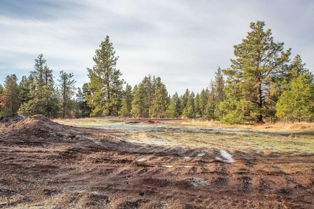 Photo 6 of 19 of NNA Medical Lake Rd land
