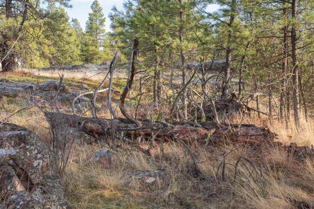 Photo 14 of 19 of NNA Medical Lake Rd land