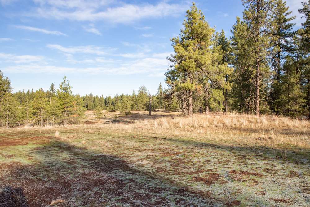 Photo 7 of 19 of NNA Medical Lake Rd land