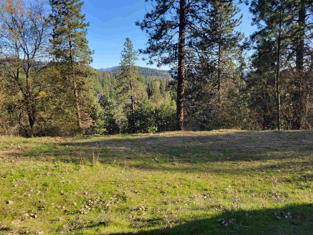 Photo of 2190 E STANLEY HILL Rd, Coeur d Alene, ID 83814 (MLS # 202623435)