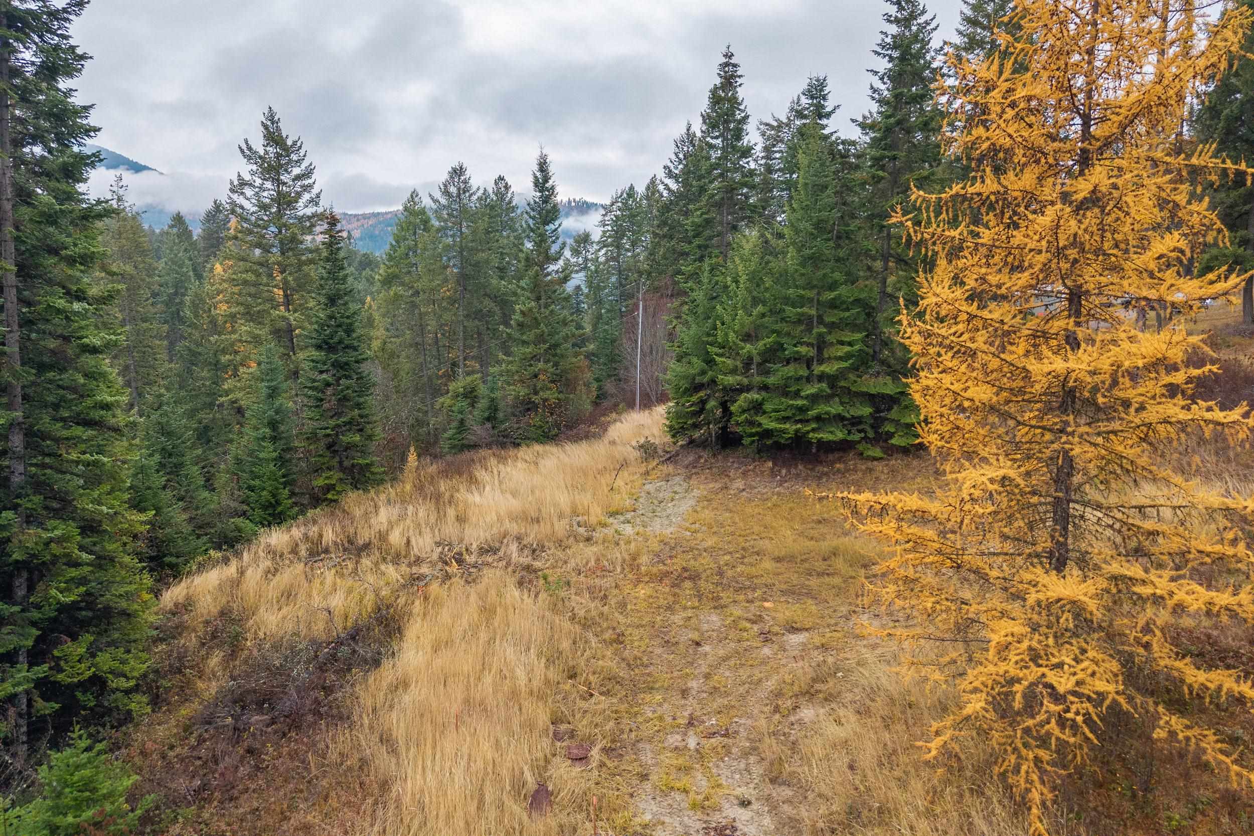 Photo 1 of 8 — 717 C Finley Gulch Rd, Colville, WA 99114