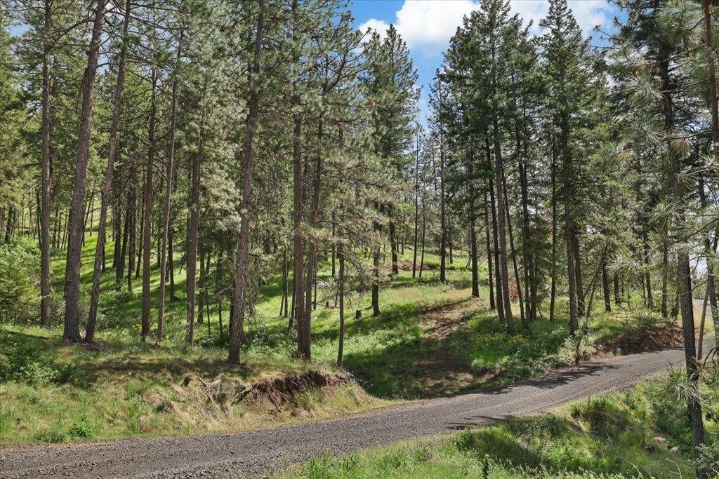 Photo of NKA Weaver Way, Deer Park, WA 99006 (MLS # 202620167)