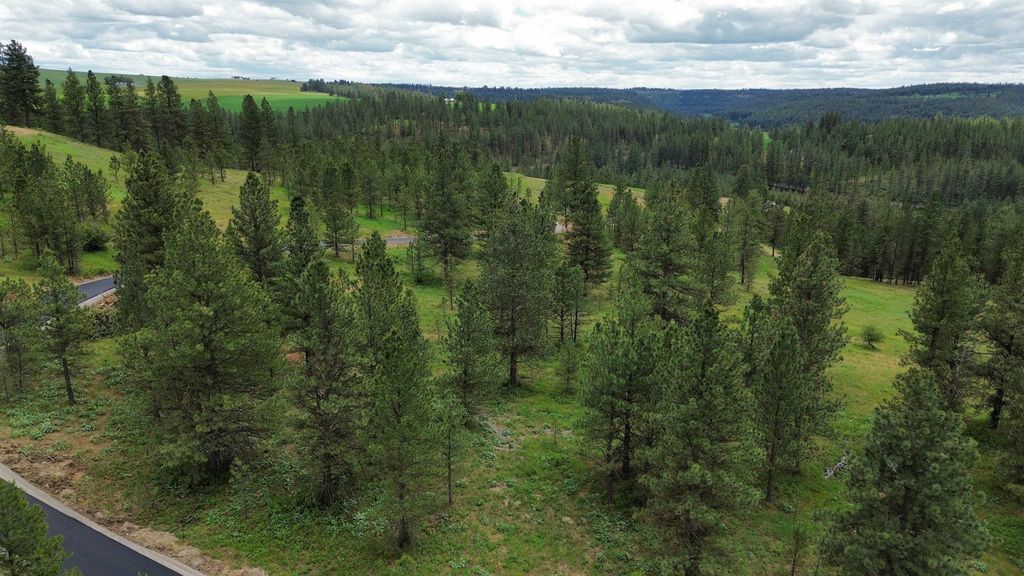 Photo of 3344 Balsam Hill Ln, Valleyford, WA 99036 (MLS # 202619171)