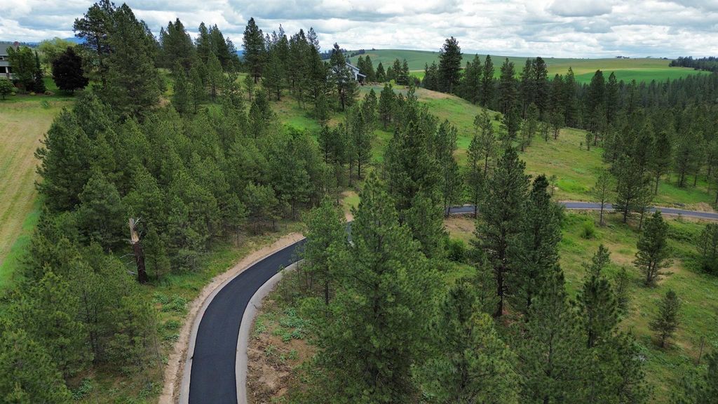 Photo of 3344 Balsam Hill Ln, Valleyford, WA 99036 (MLS # 202619171)
