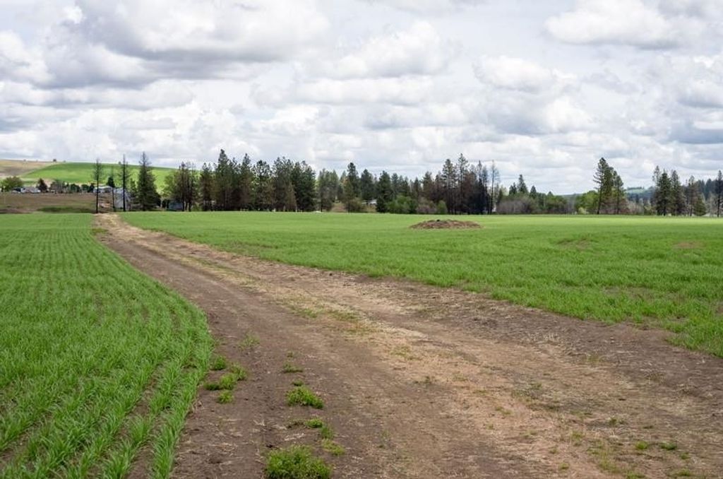 Photo of NKA Lambridge Lane Lot 4 Ln, Medical Lake, WA 99022 (MLS # 202520827)