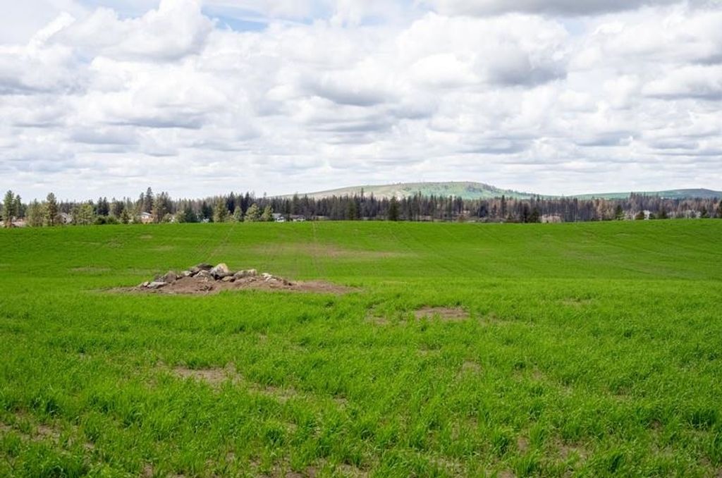Photo of NKA Lambridge Lane Lot 4 Ln, Medical Lake, WA 99022 (MLS # 202520827)