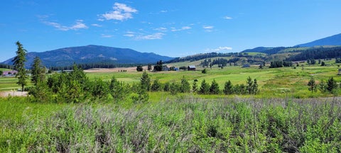 Featured picture for the property 202317796