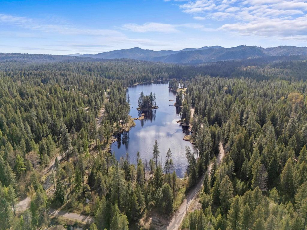 Photo of 242 Quartz Rd, Newport, WA 99156 (MLS # 202616560)