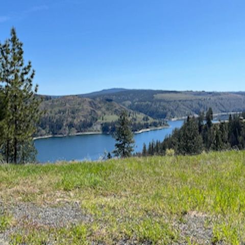  in Davenport WA Lot 13 Quill Dr.jpg