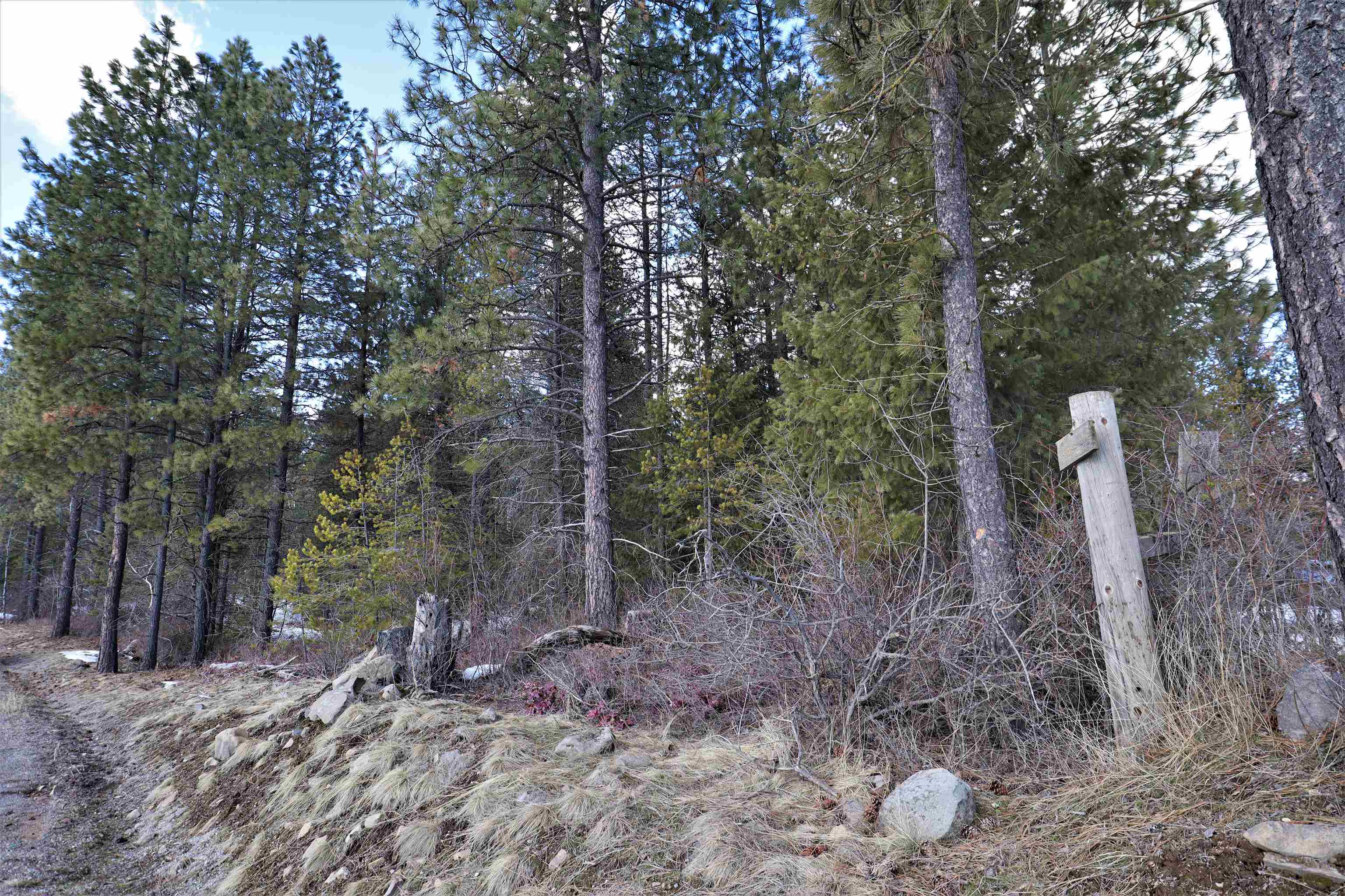 Photo 6 of 15 of 41XX Lumberg Rd land