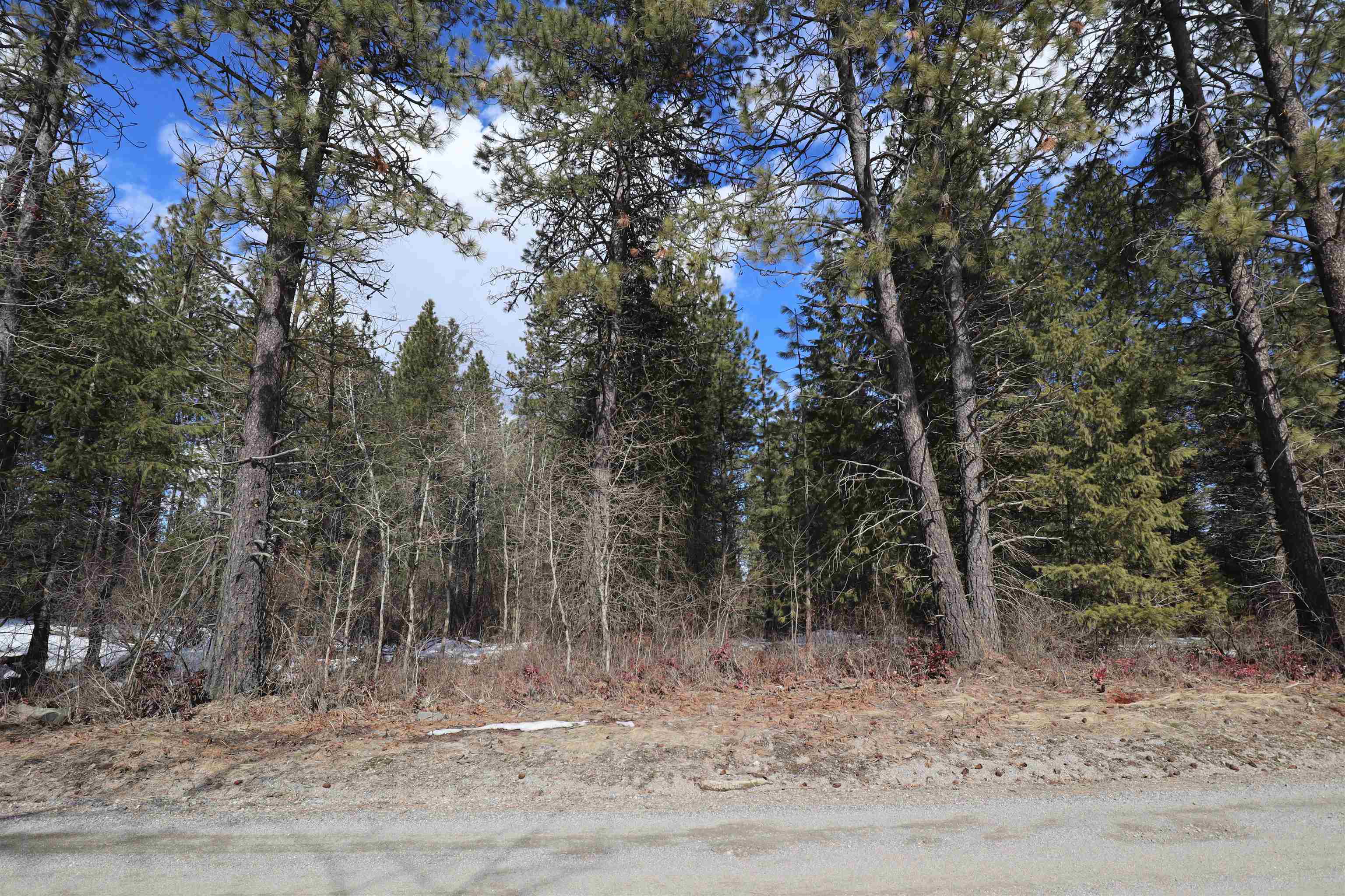 Photo 13 of 15 of 41XX Lumberg Rd land