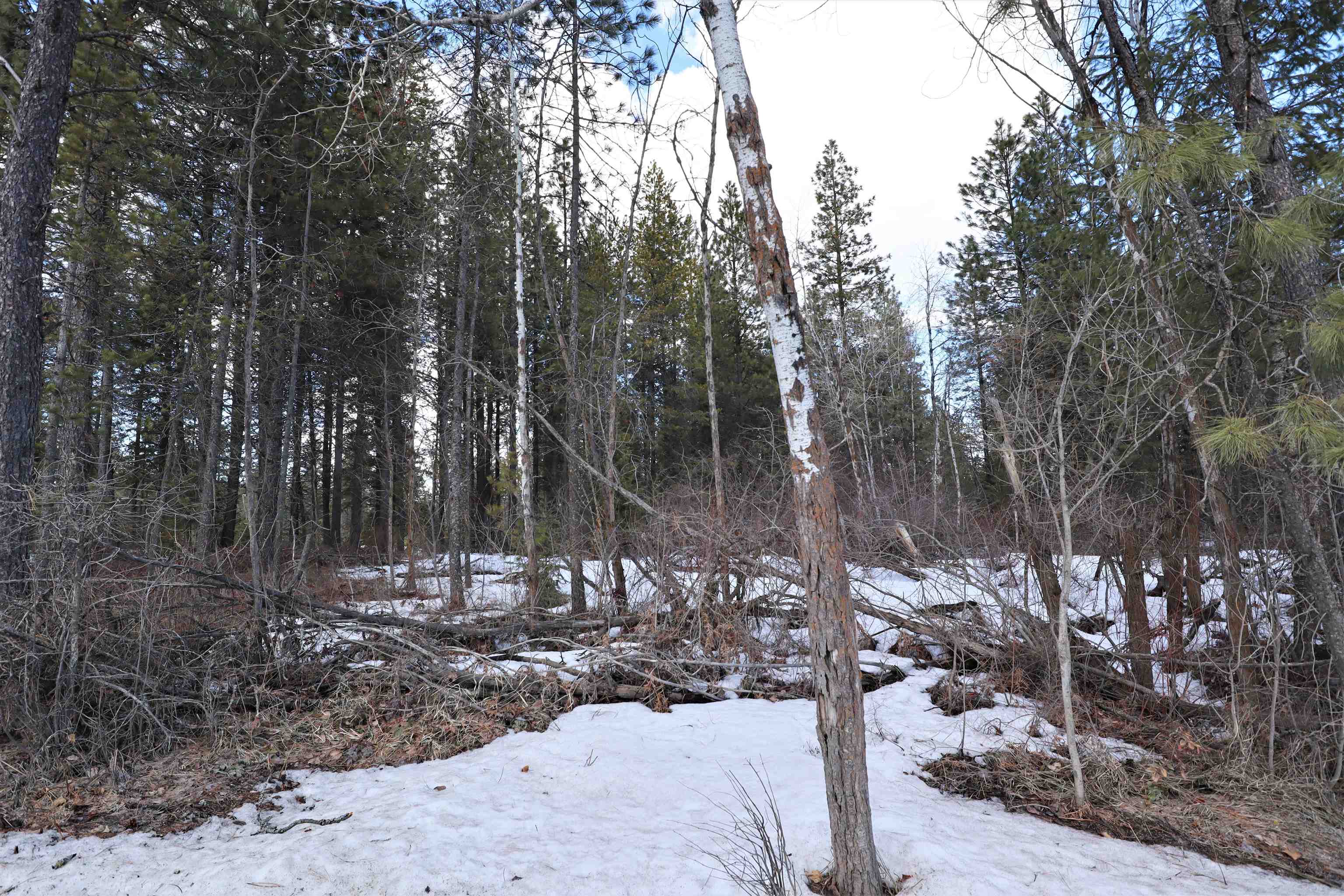 Photo 8 of 15 of 41XX Lumberg Rd land
