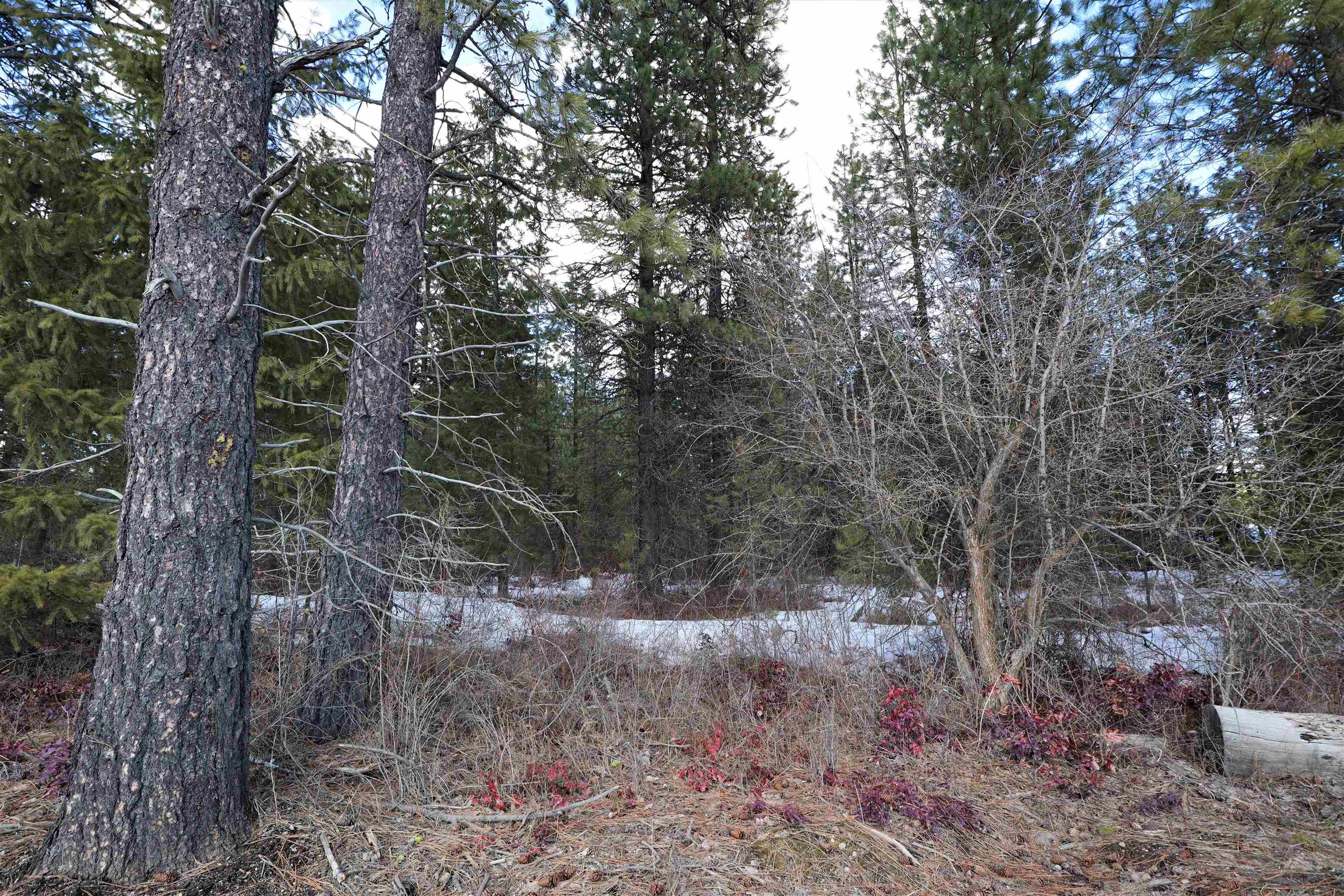 Photo 7 of 15 of 41XX Lumberg Rd land
