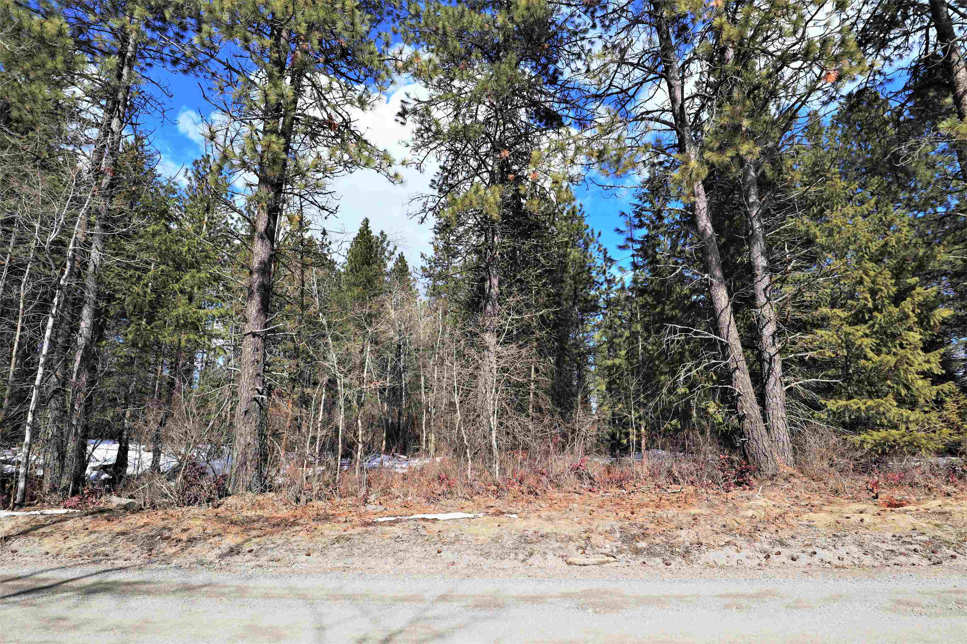 Photo 3 of 15 of 41XX Lumberg Rd land