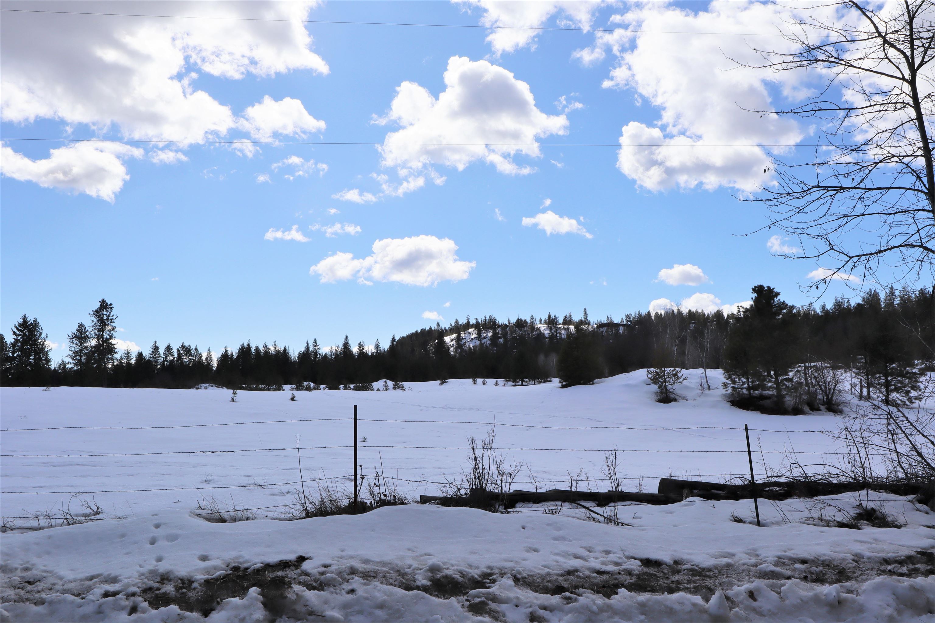 Photo 10 of 15 of 41XX Lumberg Rd land