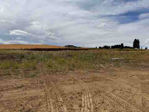 Featured picture for the property 202622795