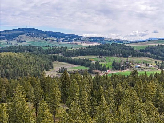 22XX MILLER RD, SPANGLE, WA 99031 - Image 8a9fc2348646f3a3da2abc86616bb59f/664625831