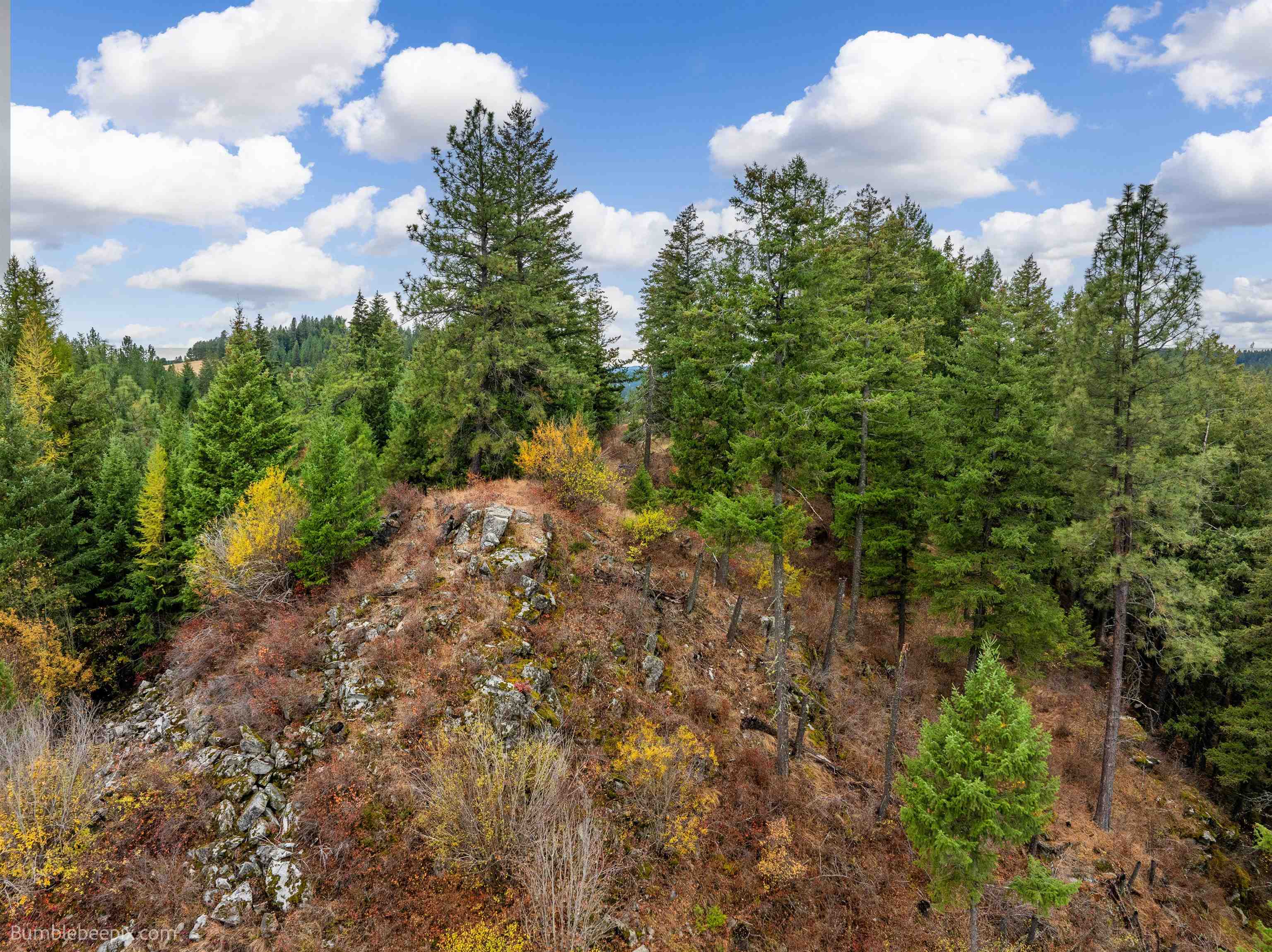 Elk, Washington 99009, United States, 2 Bedrooms Bedrooms, ,1 BathroomBathrooms,Residential,Active,36165