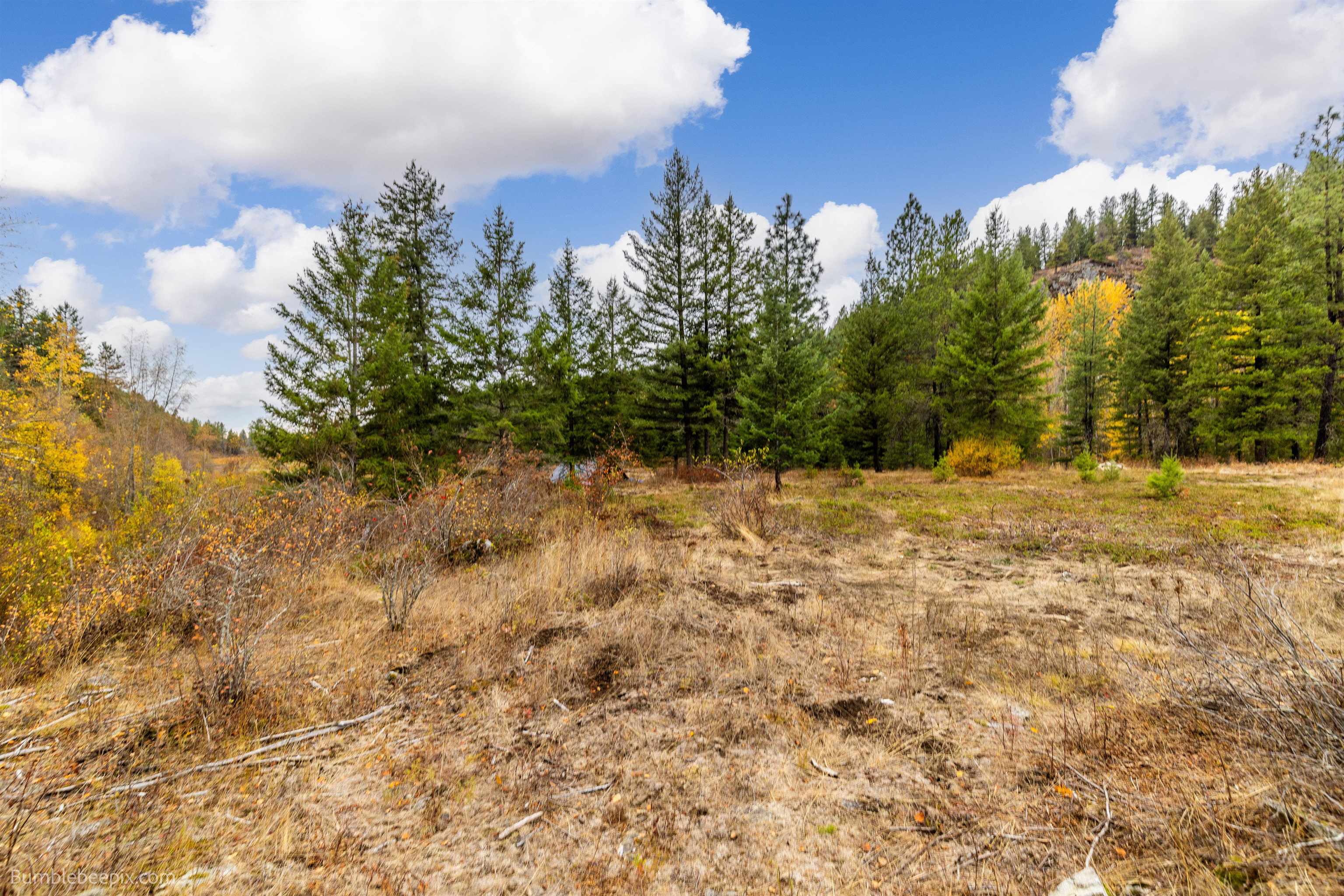 Elk, Washington 99009, United States, 2 Bedrooms Bedrooms, ,1 BathroomBathrooms,Residential,Active,36165