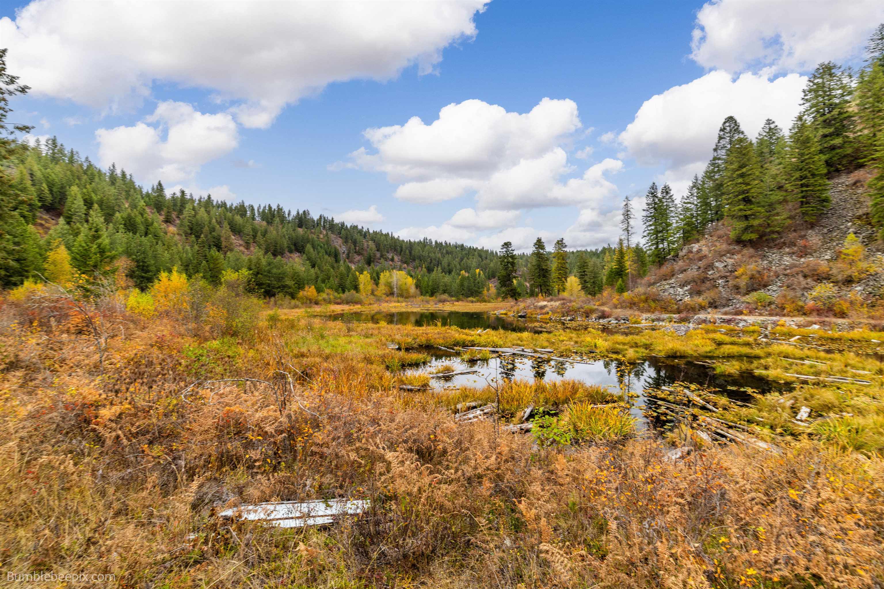 Elk, Washington 99009, United States, 2 Bedrooms Bedrooms, ,1 BathroomBathrooms,Residential,Active,36165