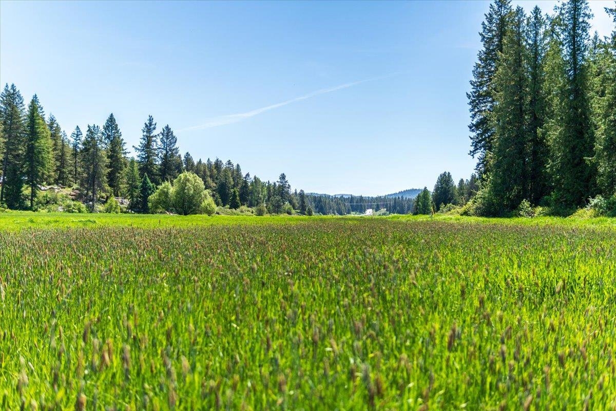 Photo 1 of 26 — XXXX Hwy 211, Newport, WA 99156