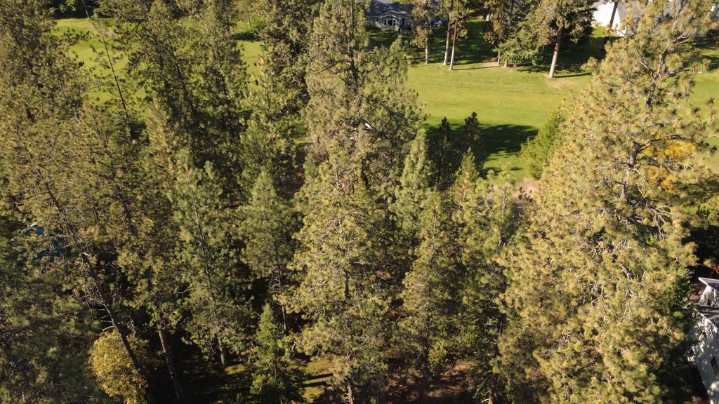 Photo of 110 Birdie Trl Trl, Chewelah, WA 99109 (MLS # 202525416)